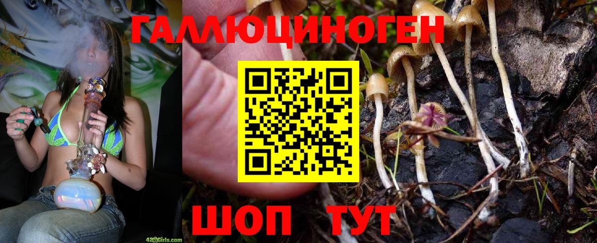 Каспийск  Псилоцибиновые грибы Psilocybine cubensis  Вход с VPN  Галлюциногенные грибы Psilocybine cubensis 