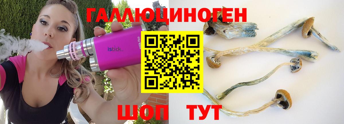 Галлюциногенные грибы ЛСД Каспийск